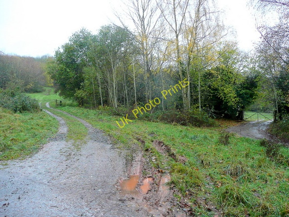 Photo 6"x4" Muddy tracks Upper Hill\/SO4753 c2010