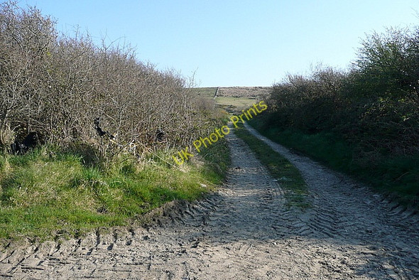 Photo 6"x4" Track at Rehy East Cross\/Q7951 c2010