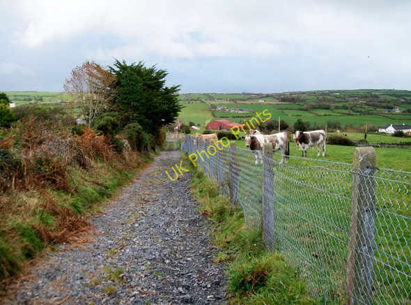 Photo 6"x4" View east along the bridleway towards Dundrinne Road Annsborough c2010