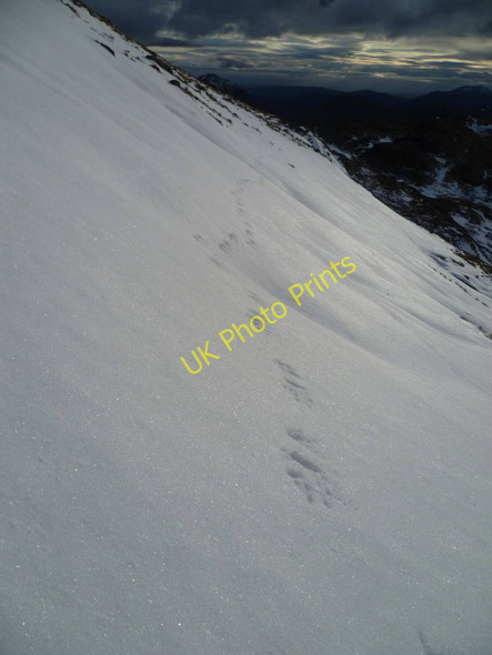 Photo 6"x4" Western Slope Of Cruach Ardrain Stob Glas\/NN4020 c2010