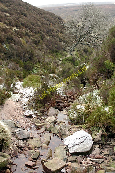 Photo 6"x4" At the top of Bleadale Water Fair Oak\/SD6446 c2007