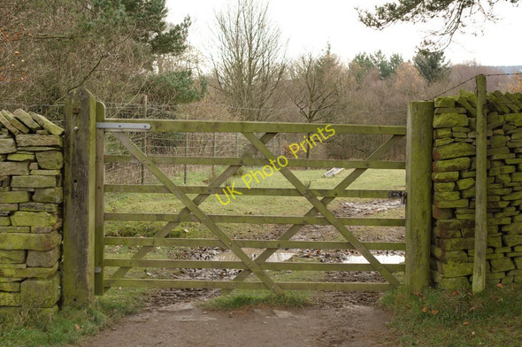 Photo 6"x4" Gate, Lyme Park Danebank c2010