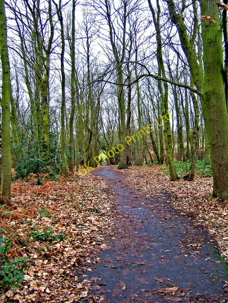 Photo 6"x4" Footpath through wood looking towards disused railway line Bewdley\/SO7875 c2008
