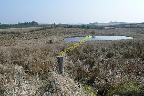 Photo 6"x4" Derrynacarragh Lough Connolly c2010