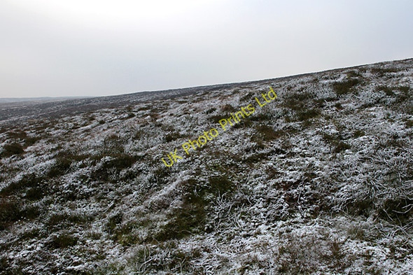 Photo 6"x4" Frozen fell Fair Oak\/SD6446 c2007