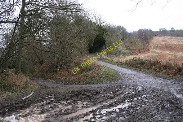 Photo 6"x4" Top of the Gullet Pass Chandler's Cross\/SO7738 c2008