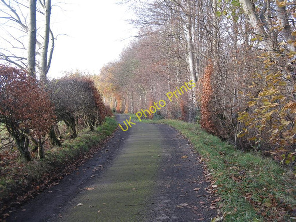 Photo 6"x4" Lane at Killburn Loanhead\/NT2765 c2010