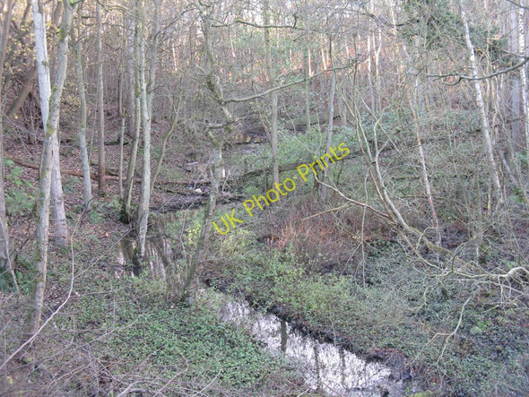 Photo 6"x4" The Kill Burn near Roslin Loanhead\/NT2765 c2010