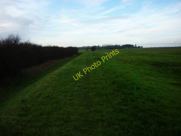 Photo 6"x4" The riverside path to Whitton Whitton\/SE9024 c2010