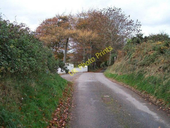 Photo 6"x4" The Moneylane Road east of the Kilmegan crossroads Dundrum\/J4036 c2010