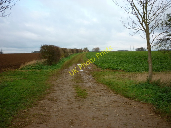 Photo 6"x4" A bridleway at Barkers Holt Burton upon Stather c2010