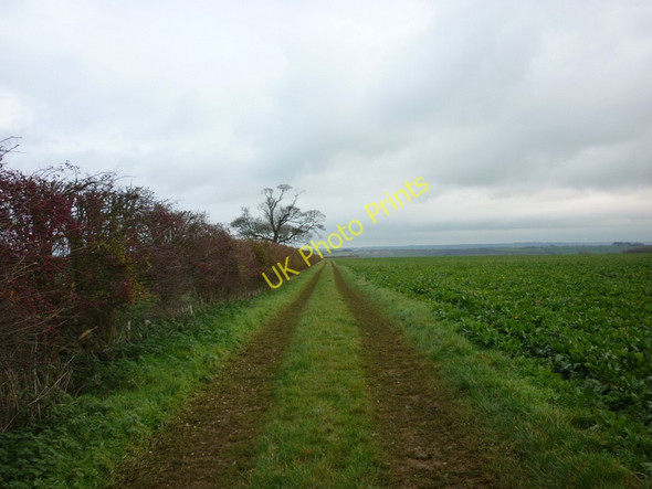 Photo 6"x4" A bridleway to Coleby Coleby\/SE8919 c2010