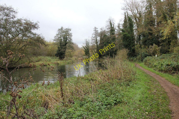 Photo 6"x4" Looking back the way Sheffield Bottom c2010