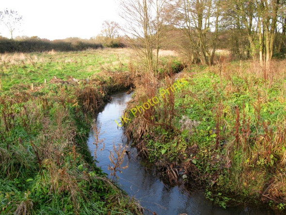 Photo 6"x4" Stream near Broad Woods Lane Wellow Wood c2010