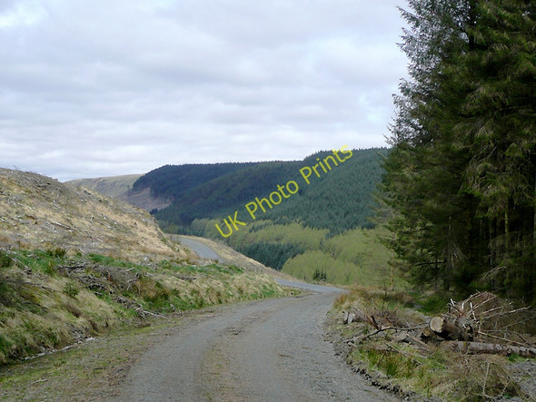 Photo 6"x4" Forestry road on Cnwch Rhiwhalog, Ceredigion Cefn Ty'n-y-graig c2010