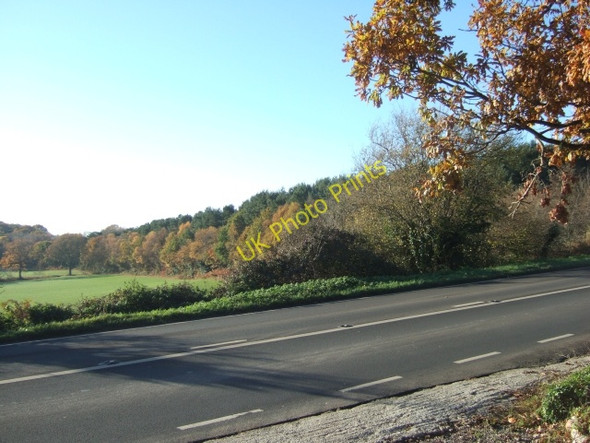 Photo 6"x4" Autumn colour on Goosemoor Goosemoor\/SY0689 c2010