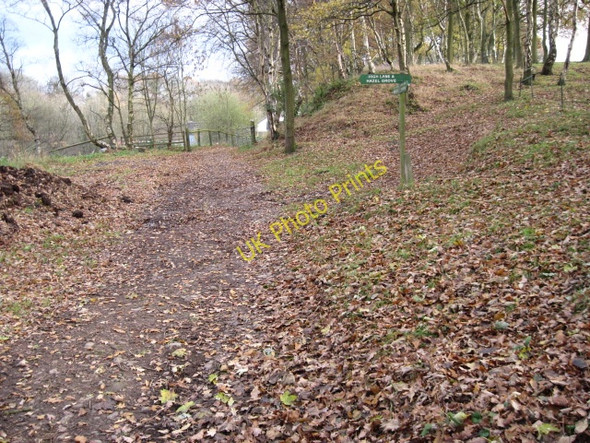 Photo 6"x4" Footpath near Parkgate Farm Hazel Grove\/SJ9286 c2010