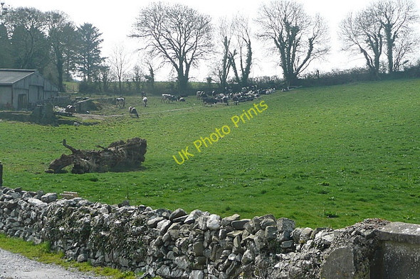 Photo 6"x4" Farm at Mahonburgh Bridge Mahonburgh c2010