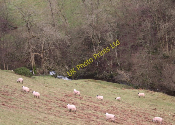 Photo 6"x4" The Ysgir Fechan above Yscirfechan Farm Pont Rhyd-y-berry c2008