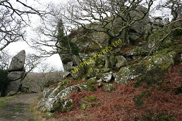Photo 6"x4" Meavy: rock outcrops at Goodameavy Shaugh Prior c2008