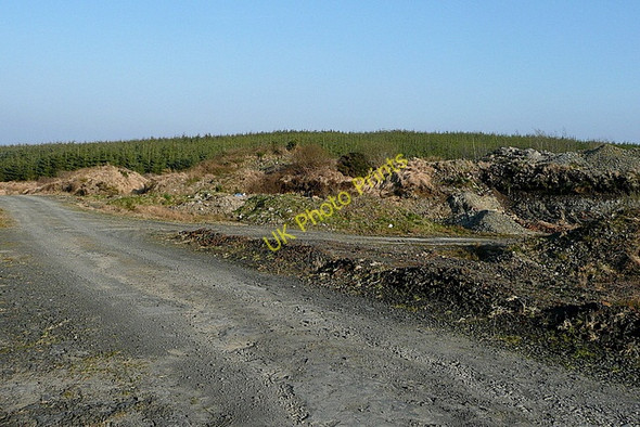 Photo 6"x4" Forestry tracks at Boolynagleragh Liscasey c2010