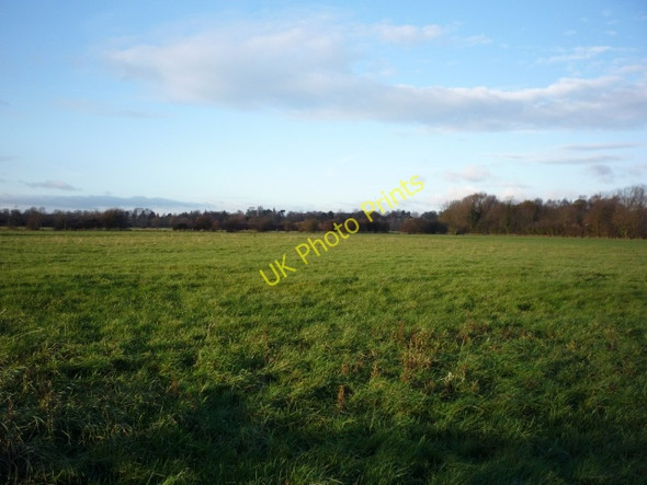 Photo 6"x4" Walmgate stray York\/SE5951 c2010