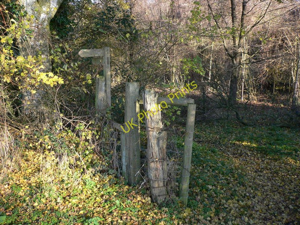 Photo 6"x4" Change of direction into woodland East Marden c2010