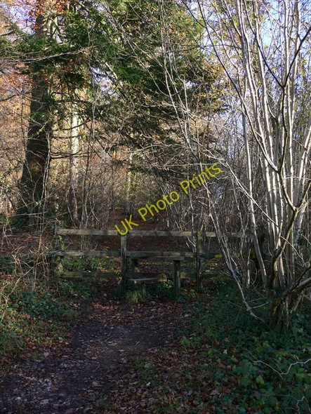 Photo 6"x4" Footpath between Hooksway and Monkton Hooksway c2010