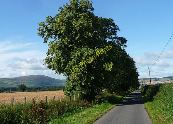 Photo 6"x4" Country road near Fenton (2) Fenton\/NT9733 c2010