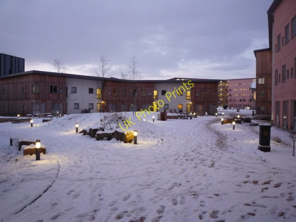 Photo 6"x4" Oliver Shieldon Court Heslington c2010