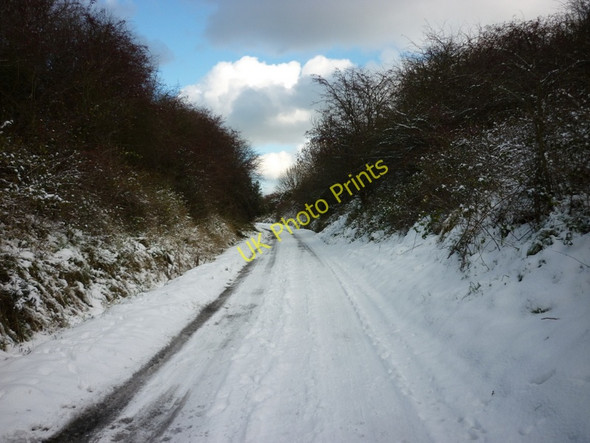 Photo 6"x4" The Whitby to Scarborough walk\/cycle track Fylingthorpe c2010