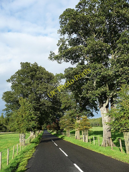 Photo 6"x4" Country road near East Lilburn Ilderton c2010