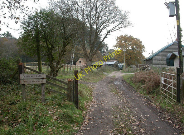 Photo 6"x4" Ashley Heath, Lions Hill Farm Ashley Heath\/SU1104 c2010