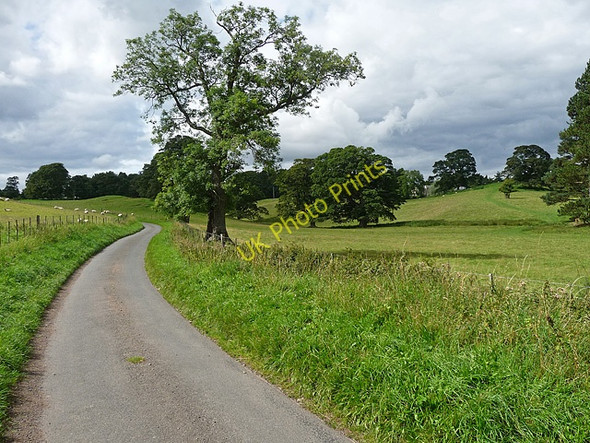 Photo 6"x4" Country road near Wooperton (1) Roddam c2010