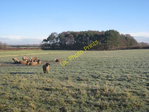 Photo 6"x4" Excuse me. May I ask what you are doing ? Beaumont\/NY3459 c2010