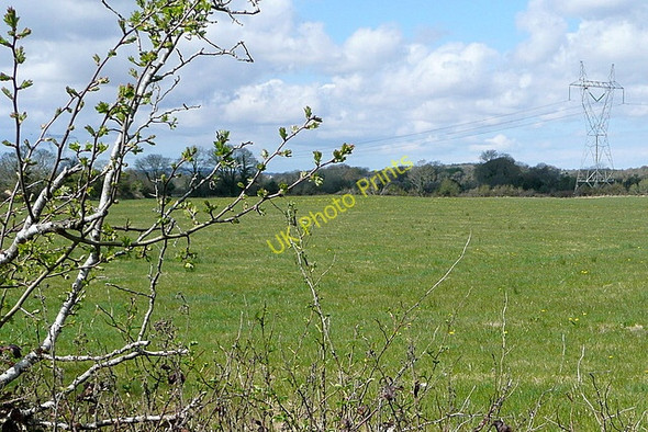 Photo 6"x4" Farmland at Islandmagrath Clarecastle c2010