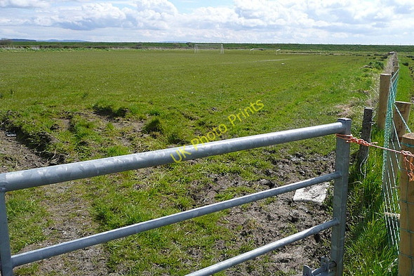Photo 6"x4" Pasture at Islandavanna Upper Clarecastle c2010