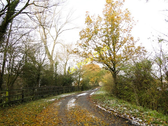 Photo 6"x4" Autumnal country road south of Fressingfield, Suffolk Fressingfield c2010