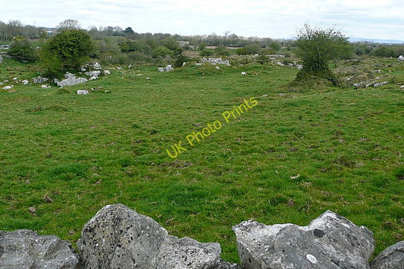 Photo 6"x4" Pasture at Craggykerrivan Derragh c2010