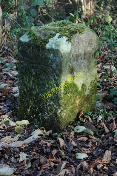 Photo 6"x4" Boundary stone Bayton Common c2010
