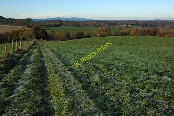 Photo 6"x4" Farmland near Gybhouse Farm Bayton Common c2010