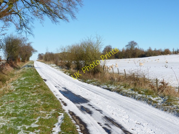 Photo 6"x4" The road to Gatten Lodge Bridges\/SO3996 c2010