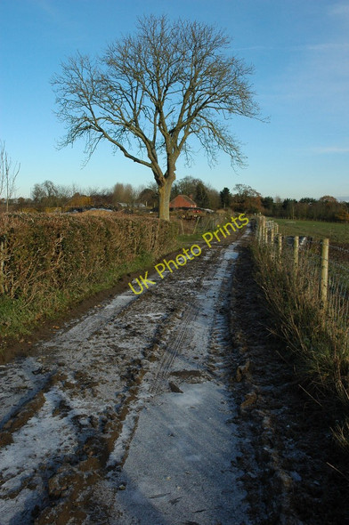 Photo 6"x4" Track near Gybhouse Farm Bayton Common c2010