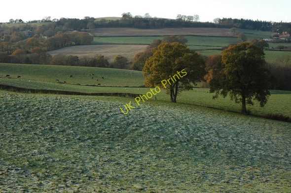 Photo 6"x4" View to Church Hill Buckridge c2010