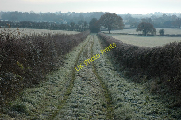 Photo 6"x4" Track and bridleway to Lower Hook The Hook c2010