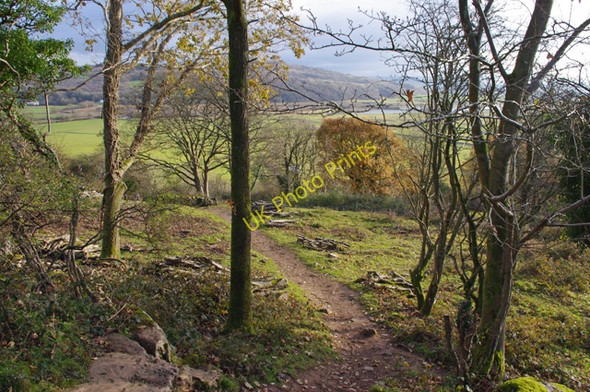 Photo 6"x4" Heald Brow Silverdale Green c2010
