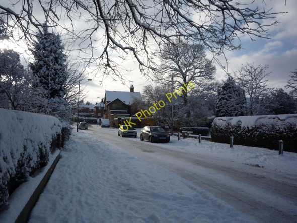 Photo 6"x4" The Beeswing Heslington c2010