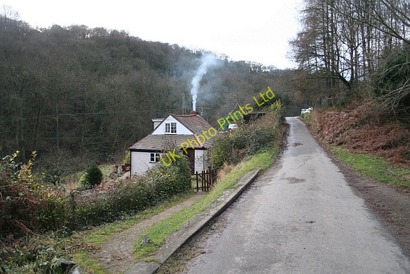 Photo 6"x4" Cottage, Gullet Quarry Chandler's Cross\/SO7738 c2008