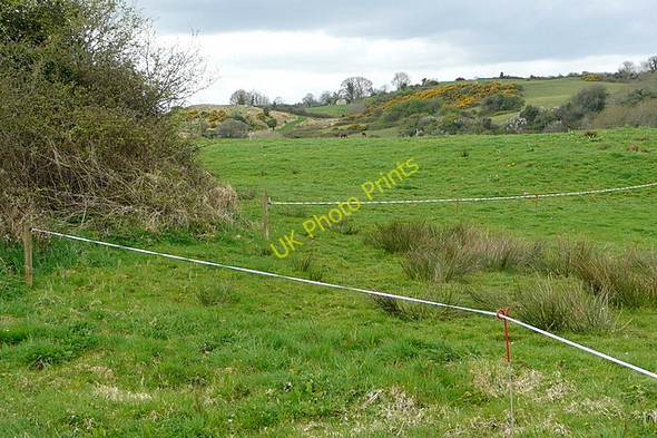 Photo 6"x4" North of Dangan Castle Ballynacally c2010