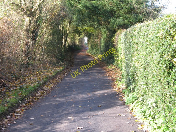 Photo 6"x4" View along Chapel Lane Carter's Clay c2010